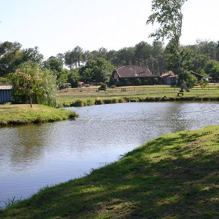 Gite 4Kms Plage Grand Domaine Prive Lacs Natura 2000 ليت إت ميكسي المظهر الخارجي الصورة