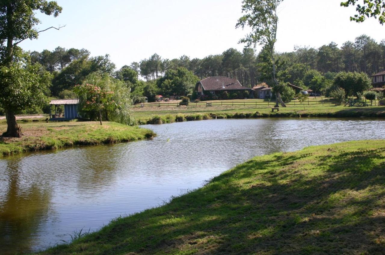 Gite 4Kms Plage Grand Domaine Prive Lacs Natura 2000 ليت إت ميكسي المظهر الخارجي الصورة
